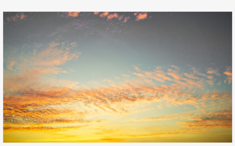 Score 50% - Painting, transparent png download