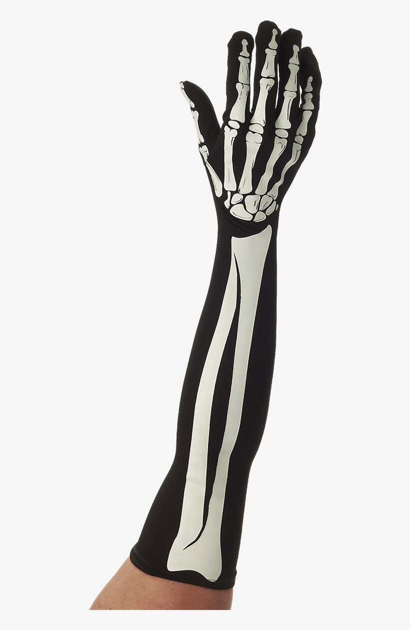 Long Skeleton Gloves - Womens Skeleton Gloves, transparent png download