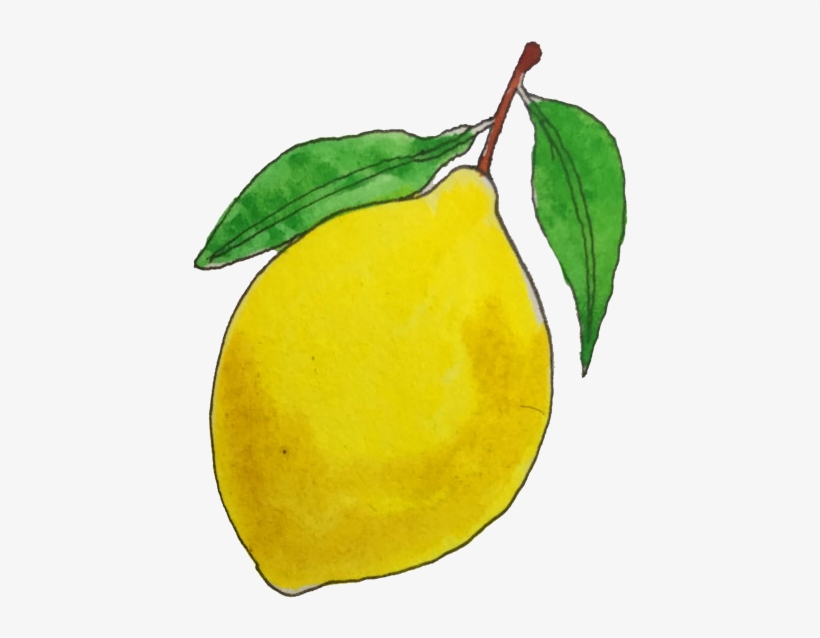 Serious Lemon 1 - Meyer Lemon, transparent png download