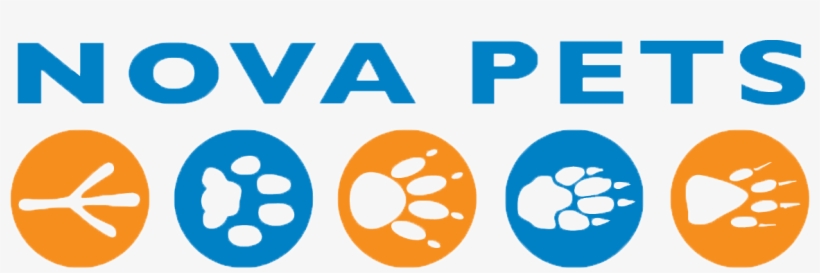 Recent Articles - Circle, transparent png download