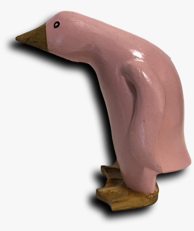 Duck, transparent png download