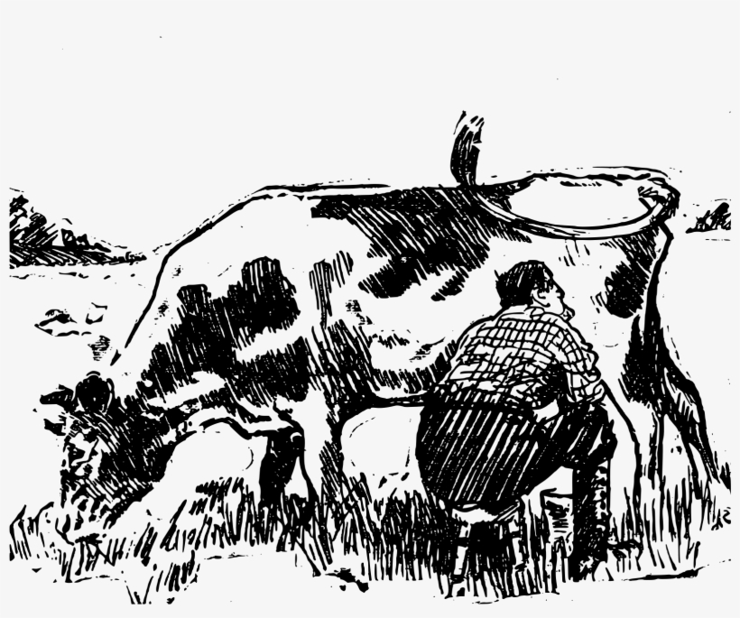 Big Image - Cattle, transparent png download