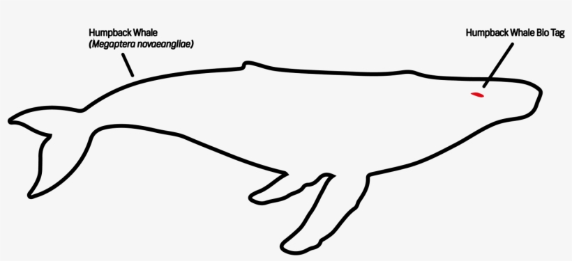 Tap To Unmute - Line Art, transparent png download