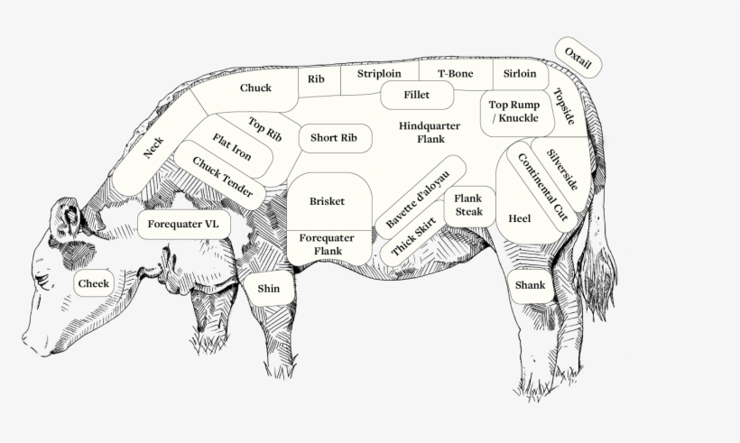 1601 X 1008 9 0 - Sketch, transparent png download