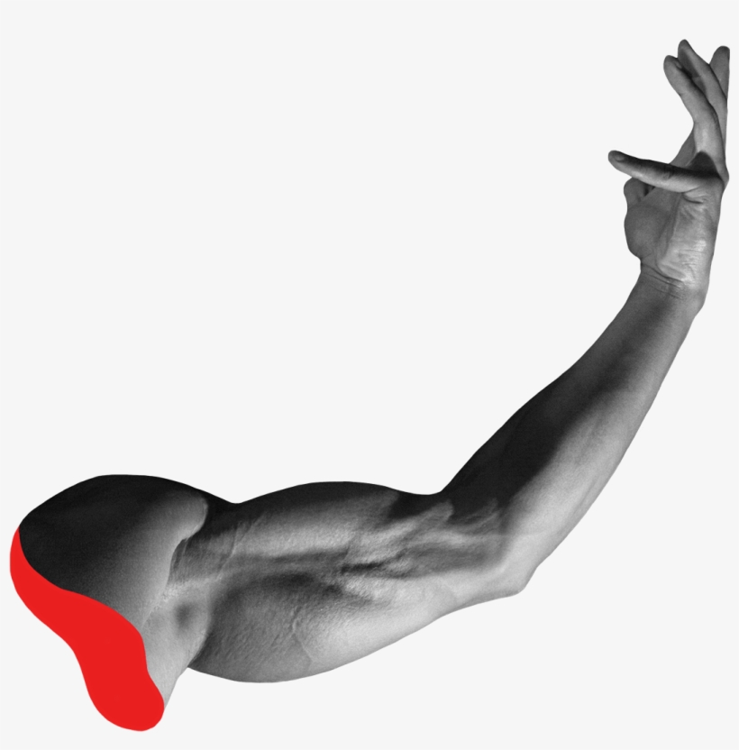 Potential Artist - Bone, transparent png download