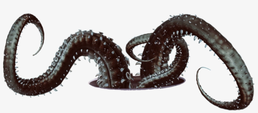 #tentacles #octopus #art #sticker - Octopus, transparent png download