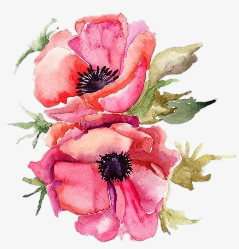 #vertical #poppy #pngstickers #png #watercolor #illustration - Bouquet, transparent png download