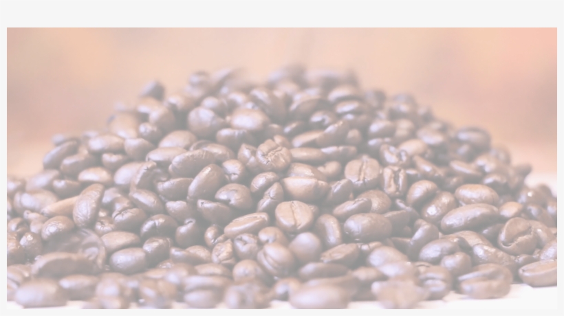 Stimulatte Gourmet Coffee Experience Mobile Coffee - Java Coffee, transparent png download