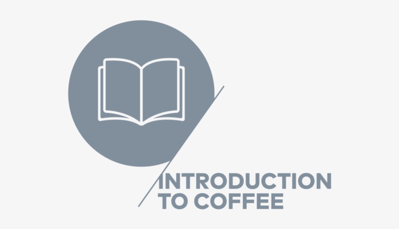 Bd Barista School - Coffee, transparent png download