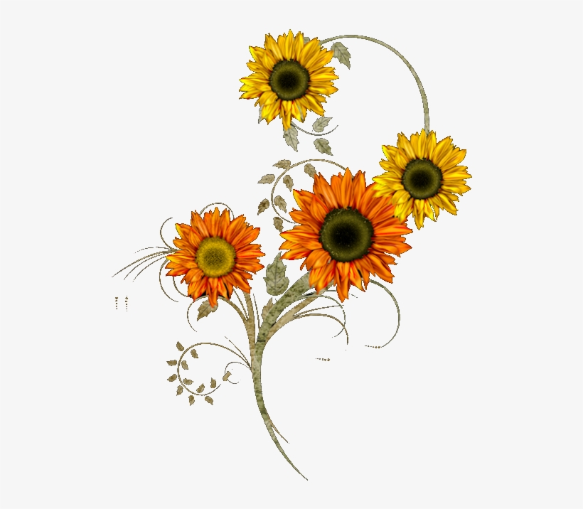 Publicado Por Amantisimocorazon - Sunflower Thanksgiving Clipart, transparent png download