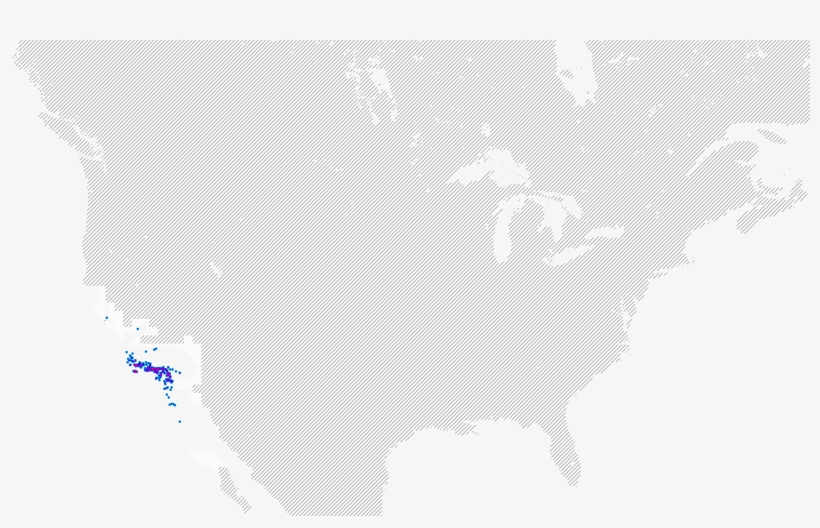 Base Map Where Plant Found - Val D Or Canada Map, transparent png download
