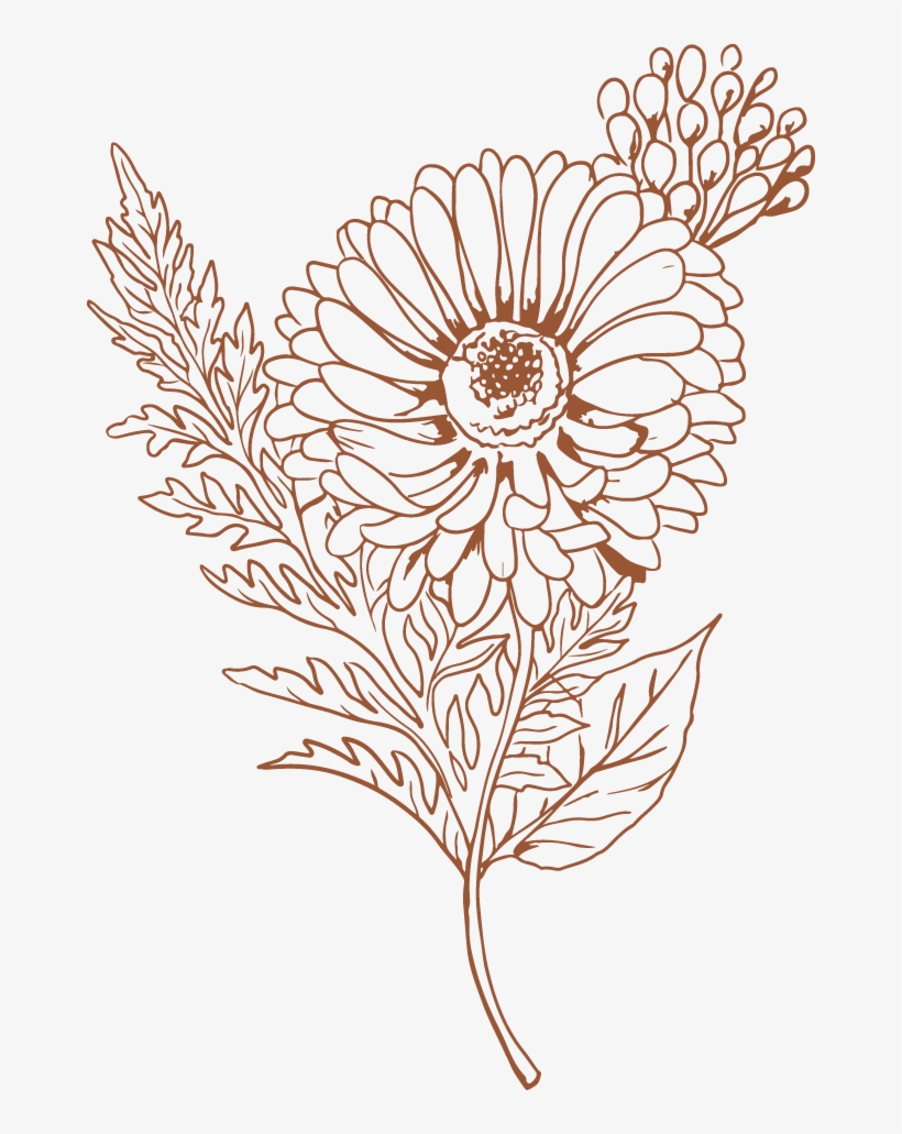 Em - Florals - Portable Network Graphics, transparent png download