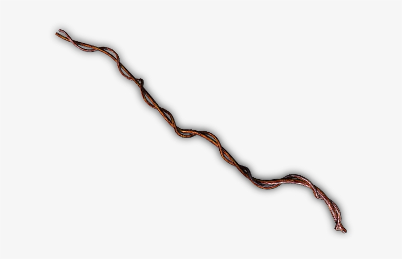 Junglevine-h - Wood, transparent png download