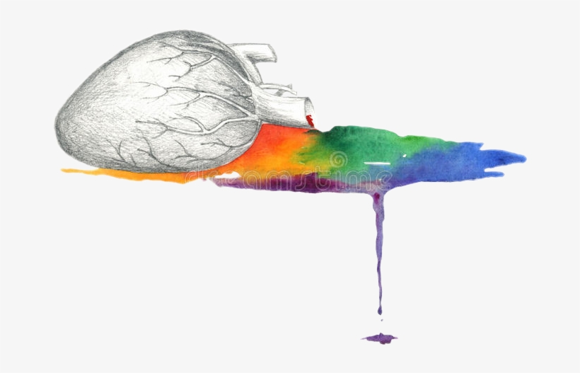 Report Abuse - Photograph, transparent png download