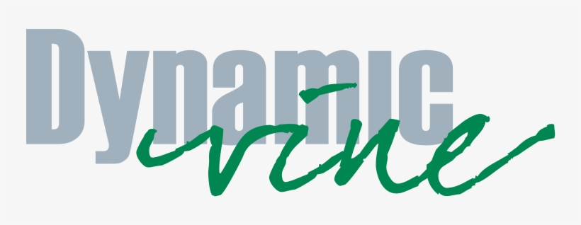 Dynamic Vine Digital Agency / Business Consultants, - Shoe, transparent png download