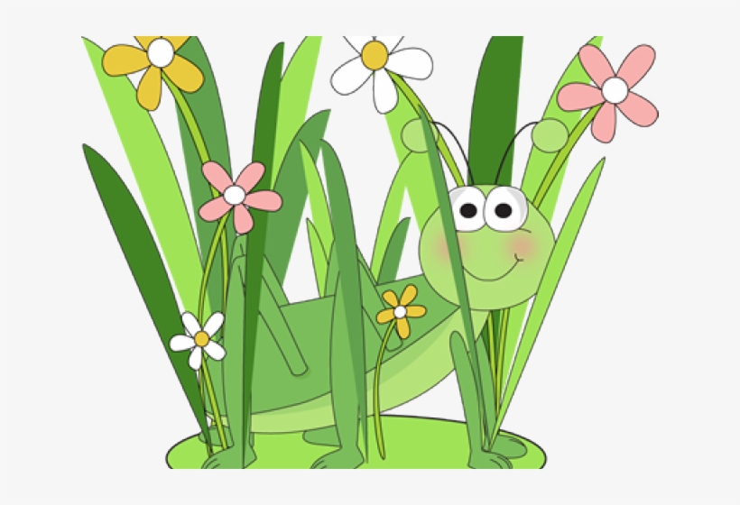 Grass Clipart Baby - Grasshopper With Grass Clipart, transparent png download