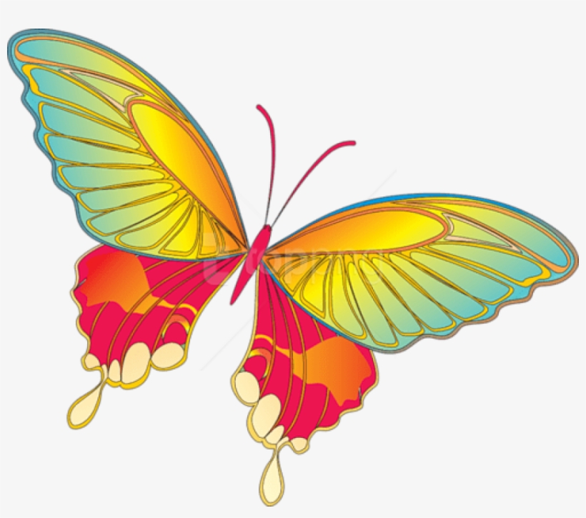 Clipart Of Birds And Butterflies, transparent png download