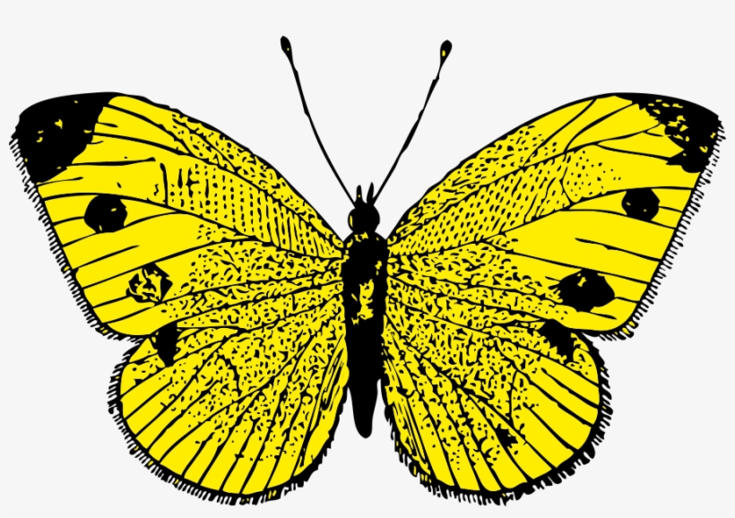 Free Vector Yellow Butterfly Clip Art - Yellow Butterfly Clipart, transparent png download
