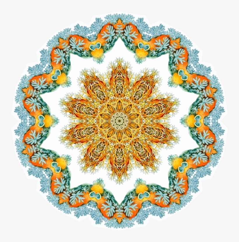 Doily Lace Paisley, transparent png download