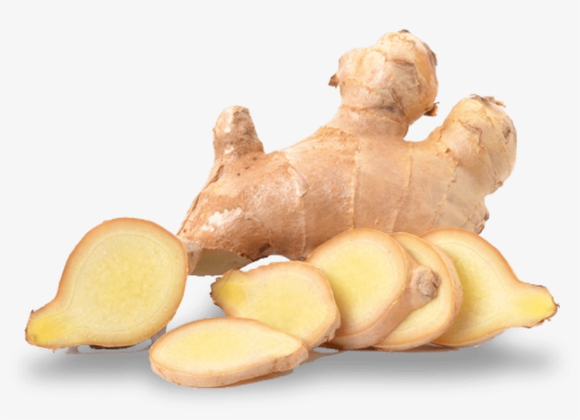 Free Png Ginger Png File Png Images Transparent - Ginger Png, transparent png download