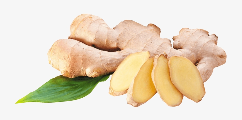 Free Png Ginger Png Images Transparent - Ginger Png, transparent png download