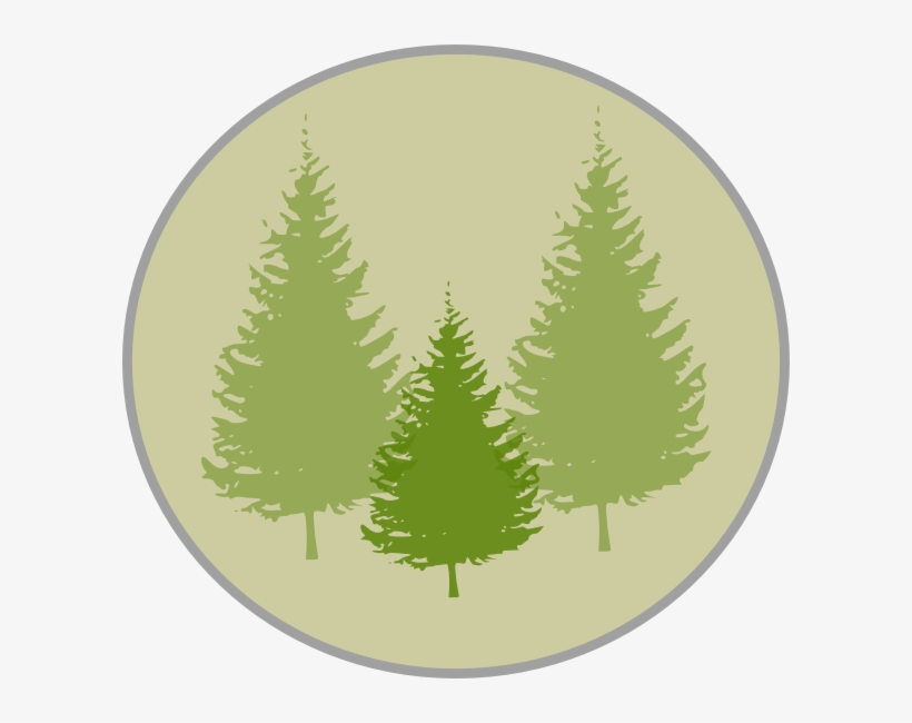 How To Set Use Three Pine Trees Clipart, transparent png download