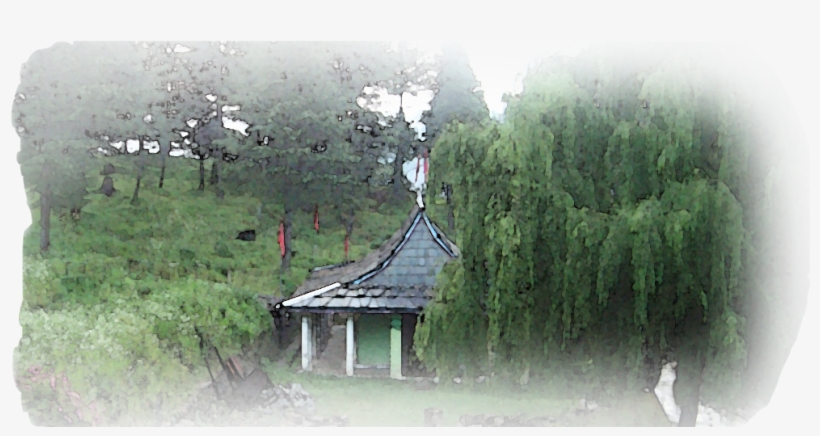 Banner-pic10 - Tree, transparent png download