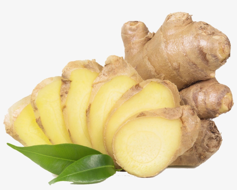 Laritelle Organic Shampoo, transparent png download