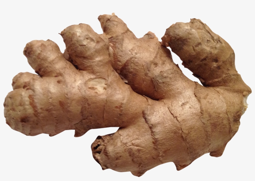 Ginger Png, transparent png download