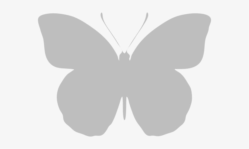 Clouded Yellow Colias Croceus - High Resolution Butterfly, transparent png download