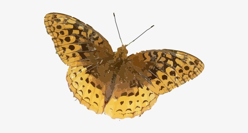 Yellow Butterfly Png Download - Indiana Butterfly Identification, transparent png download