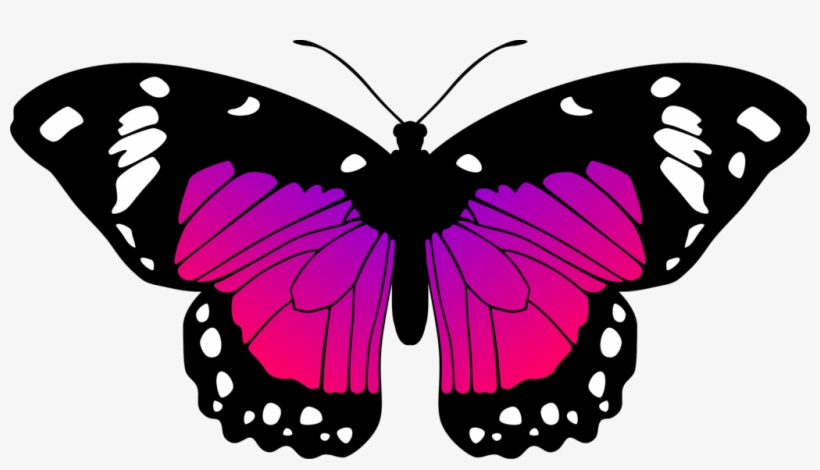 Free Free 265 Purple Butterfly Svg Free SVG PNG EPS DXF File