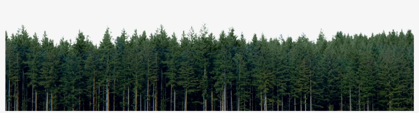 Sustainability - City Creek, transparent png download