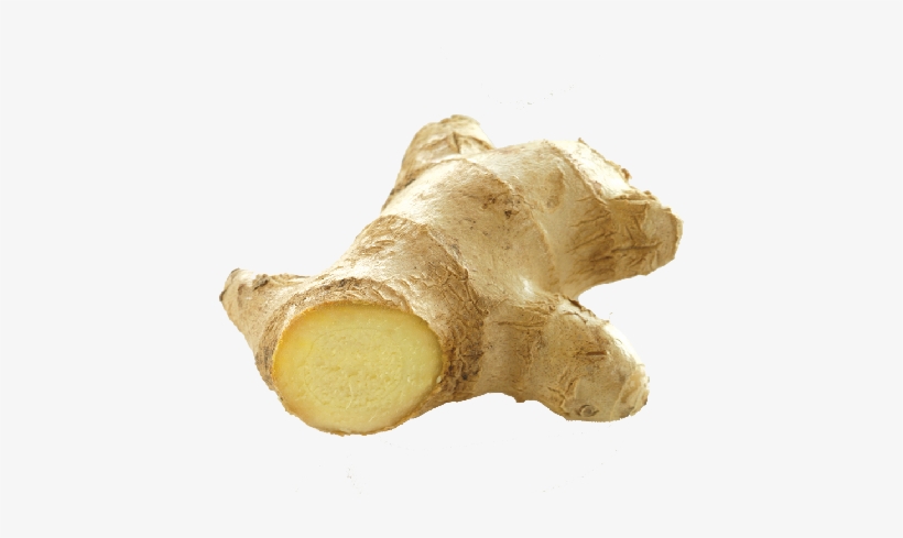 Ginger - Ginger And Olive Oil, transparent png download