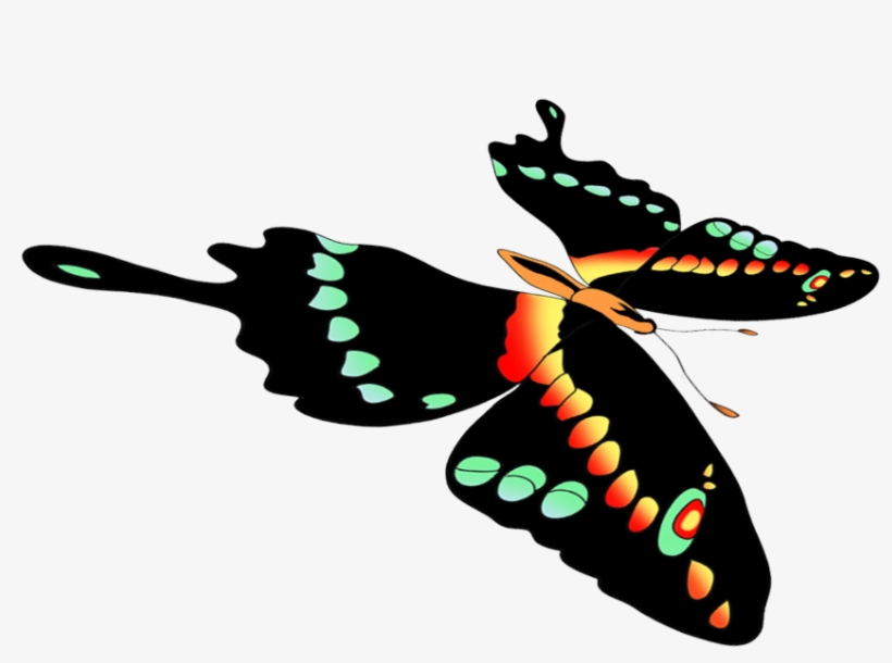 Free Butterflies Drawing Png - Black Swallowtail, transparent png download