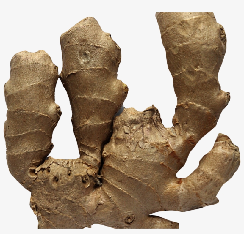 Ginger Png Image - Ginger, transparent png download