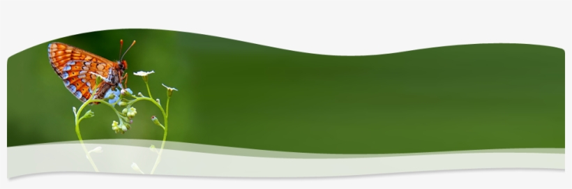 Slope, transparent png download