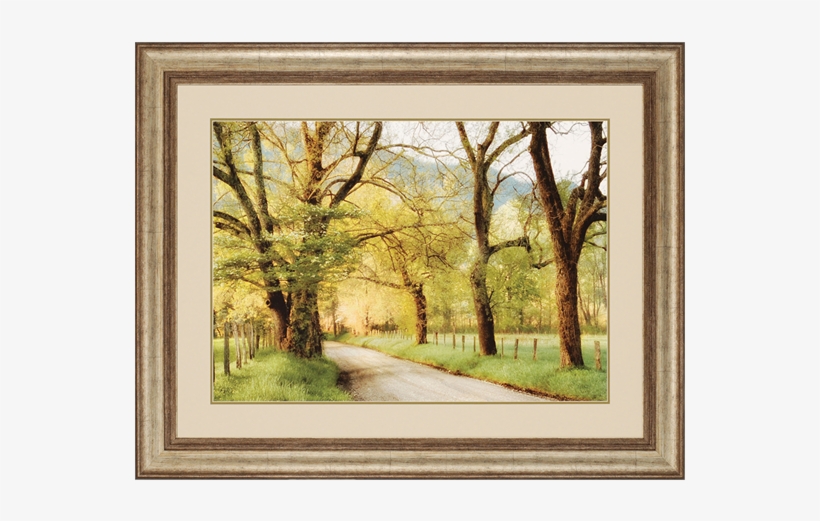 Warm Morning Light - Paragon Decor Inc. 1056 Warm Morning Light, transparent png download