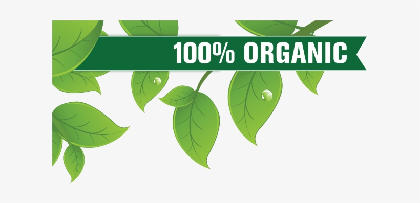 Organic Food, transparent png download