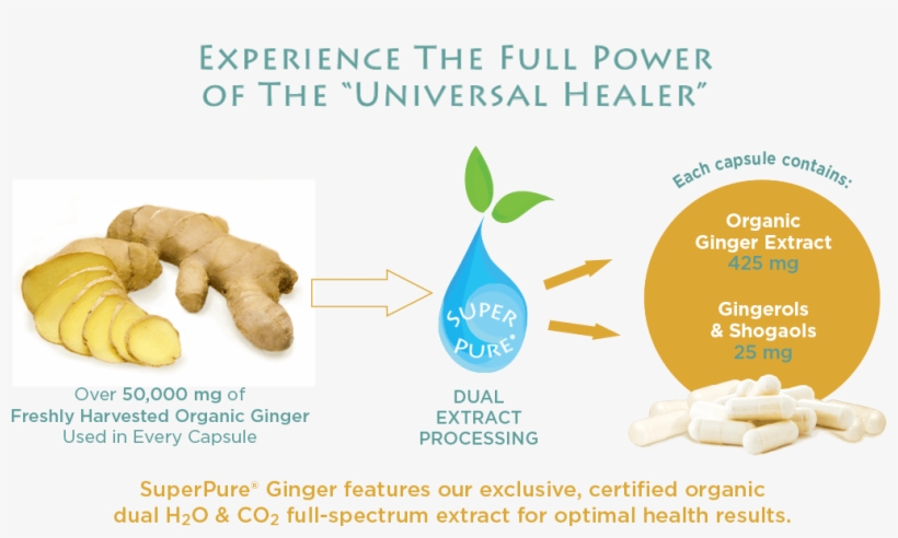 Superpure Ginger Extract - Ginger, transparent png download