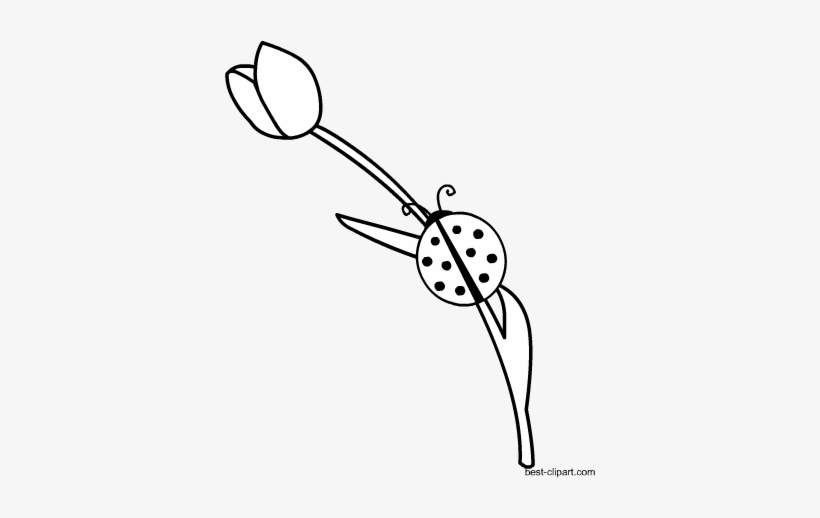 Black And White Free Clip Art Image Of Ladybug And - Clip Art, transparent png download