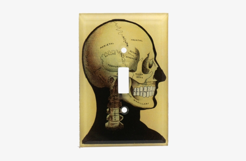 Black Skull Black Skull - Bone, transparent png download