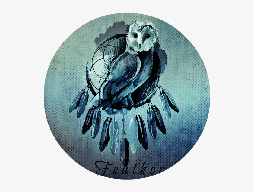 Owl On Dreamcatcher - Dreamcatcher Png, transparent png download
