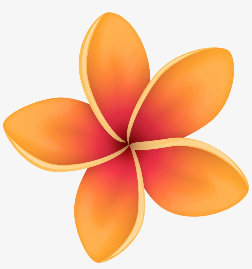 Orange Tropical Flower Png Clip Art Image, transparent png download
