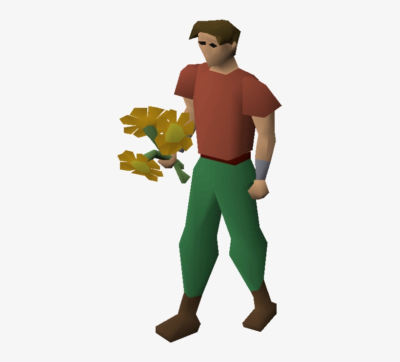 Orange Flowers Equipped - Runescape Flowers, transparent png download