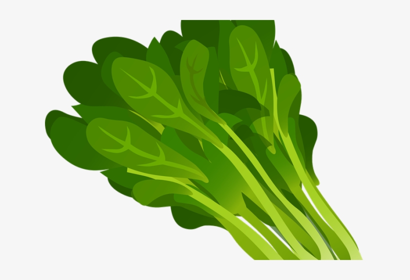 Clip Art Freeuse Stock Green Leaves Free On Dumielauxepices - Spinach Clip Art, transparent png download