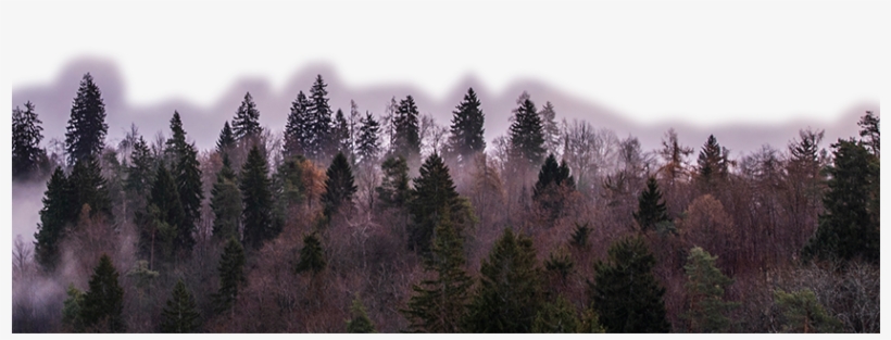 Level1-840x904 - Desktop Backgrounds, transparent png download