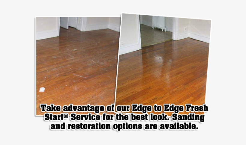 What Are Wood Floors - Reptilium Landau, transparent png download