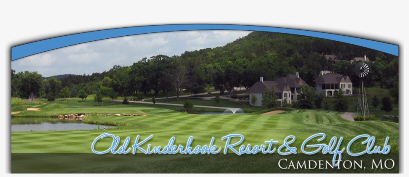 Grass, transparent png download