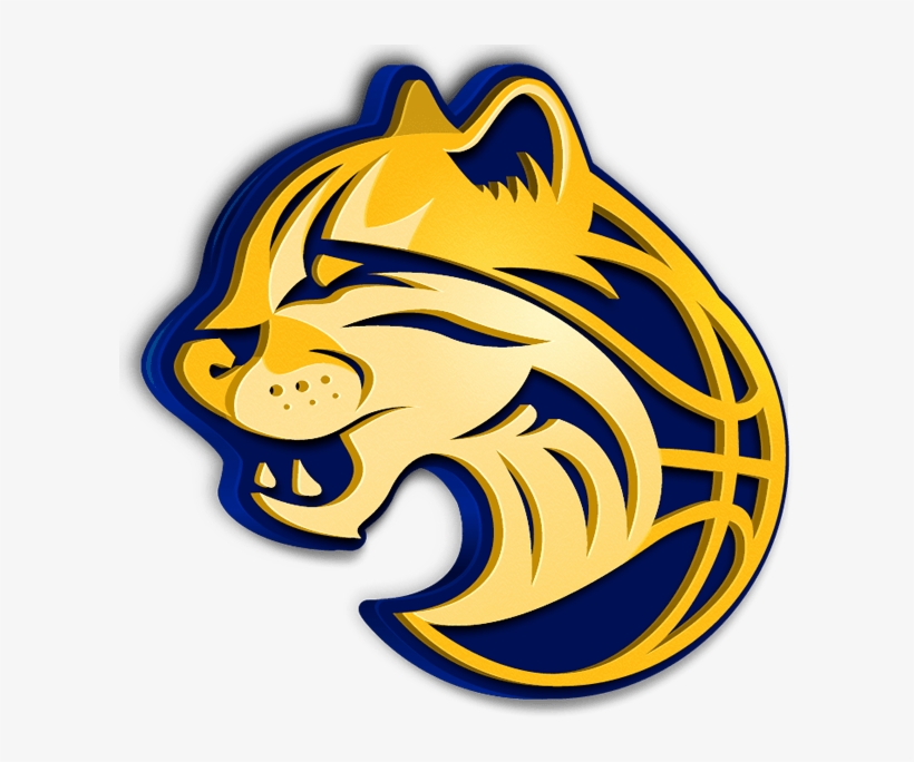 Mog Das Cruzes Basquete - Logo Mogi Basquete Png, transparent png download